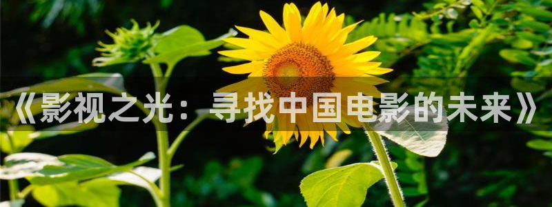 星空无限影院在线观看
