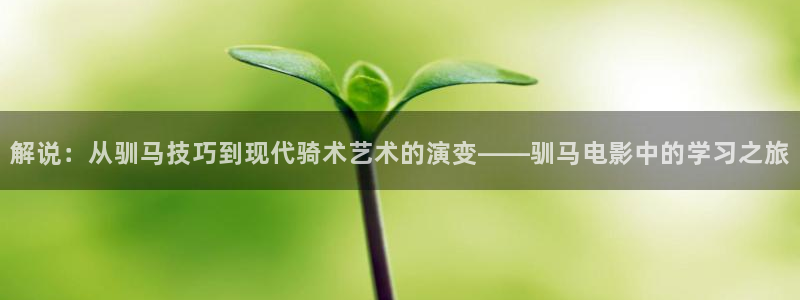 星空影院在线观看电视剧全集高清