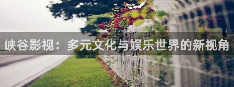 星空影院七根心简