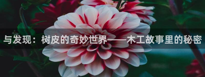 星空电影在线看