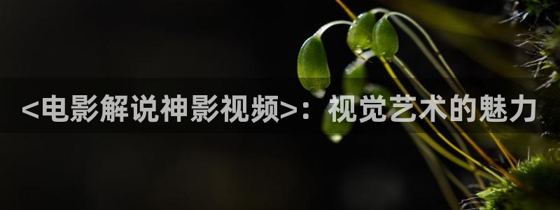 星空影院免费观看电影下载大全：<电影解说神影视频>：视觉艺术的魅力