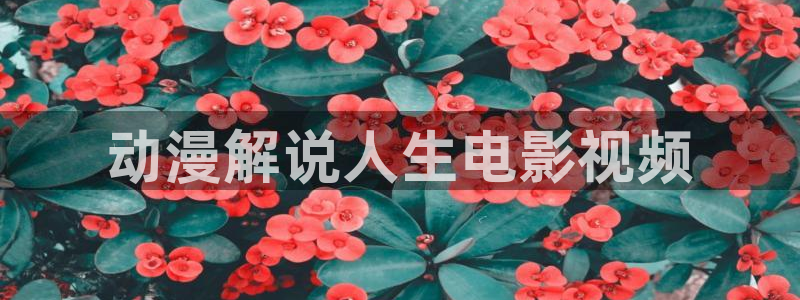 影院星空：动漫解说人生电影视频