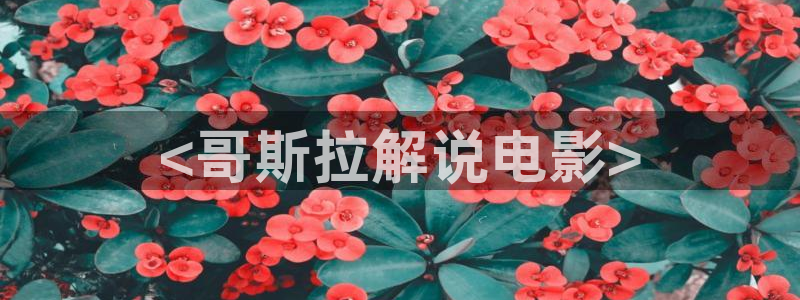 星空电影在线观看免费完整版国语：<哥斯拉解说电影>
