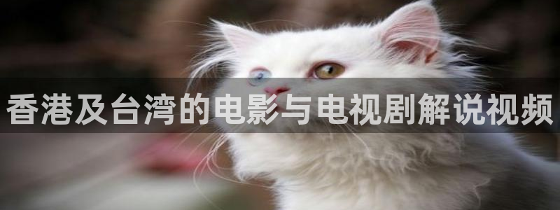 星空传媒影院免费电视剧：香港及台湾的电影与电视剧解说视频