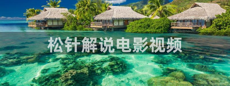 星空传媒电影：松针解说电影视频
