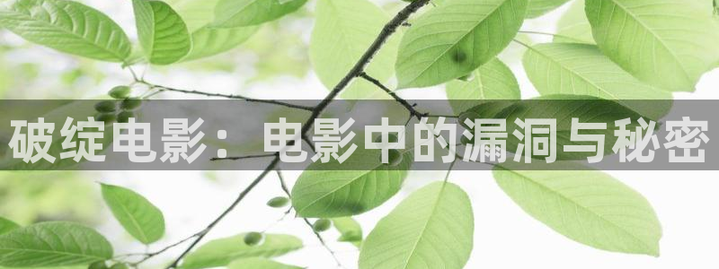 这就是灌篮星空影视：破绽电影：电影中的漏洞与秘密