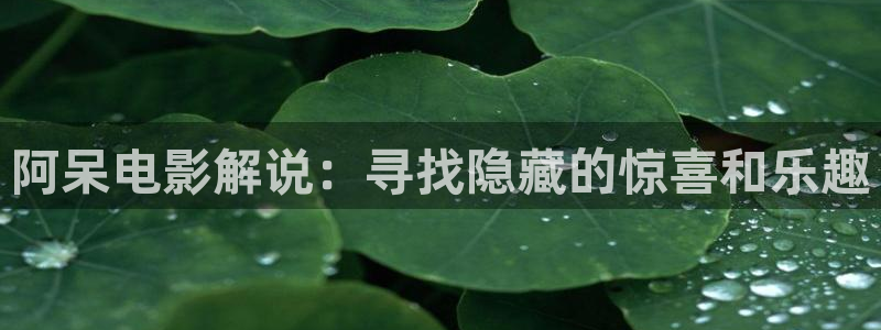 星空影视在线观看入口：阿呆电影解说：寻找隐藏的惊喜和乐趣