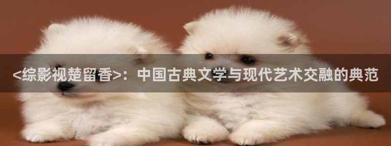 星空影视网免费观看