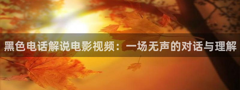 星空 电影 在线观看