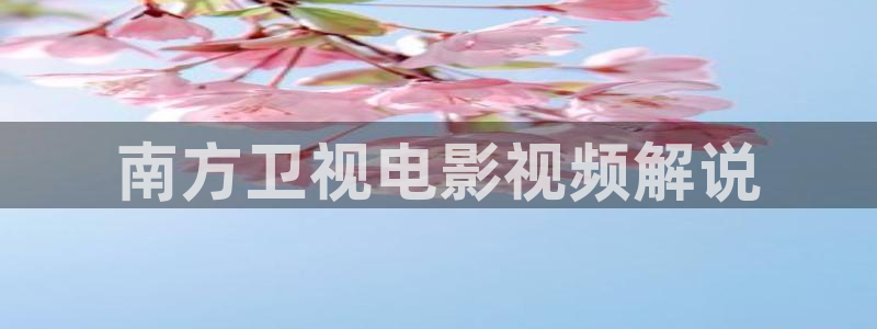 星空在线观看免费高清电视