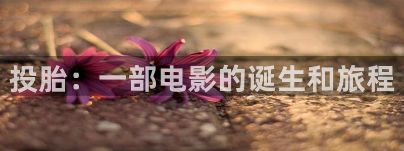 星空影视在线观看全