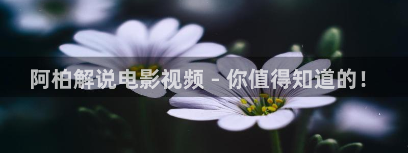 星空传媒精东影业在线视频