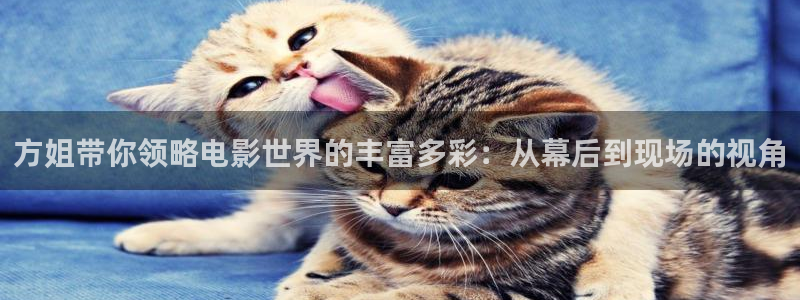 星空电影网免费看电影