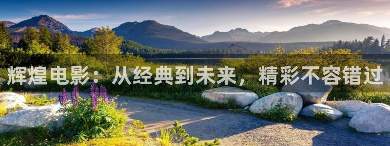 星空影视大全高清版