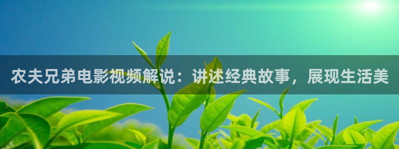 星空电影在线观看免费完整版国语