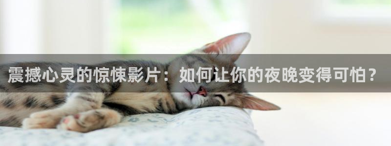 星空影院高清电影好看的电视剧：震撼心灵的惊悚影片：如何让你的夜晚变得可怕？