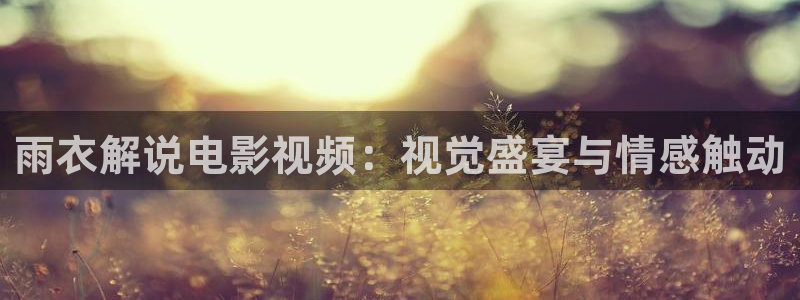 午夜星空影院：雨衣解说电影视频：视觉盛宴与情感触动
