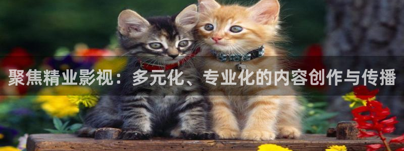 星空影院免费看全集：聚焦精业影视：多元化、专业化的内容创作与传播