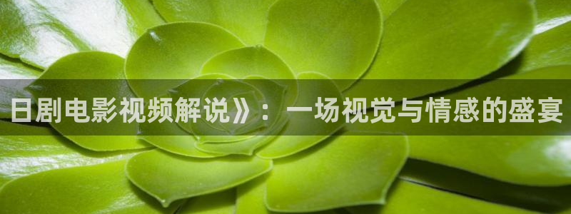 星空影视电视剧观看：日剧电影视频解说》：一场视觉与情感的盛宴