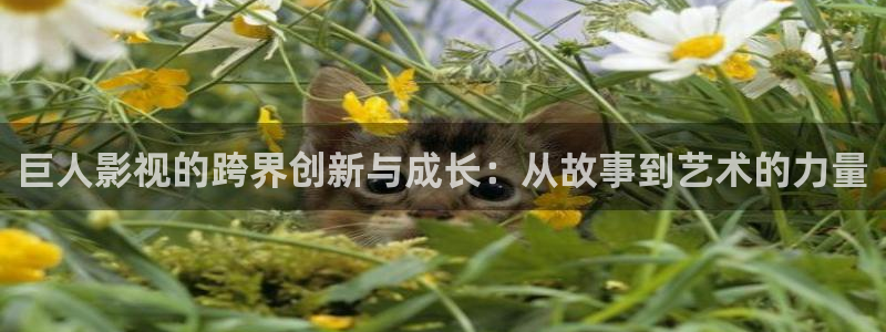 星空动漫免费观看高清完整版：巨人影视的跨界创新与成长：从故事到艺术的力量