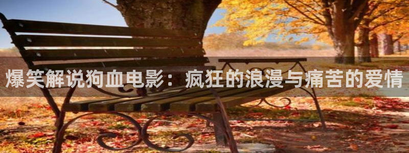 星空影院,：爆笑解说狗血电影：疯狂的浪漫与痛苦的爱情