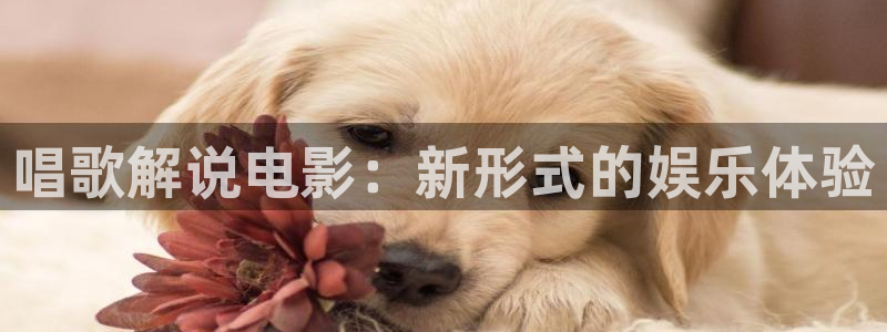 星空影院福利：唱歌解说电影：新形式的娱乐体验