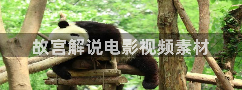天美麻花星空影视：故宫解说电影视频素材