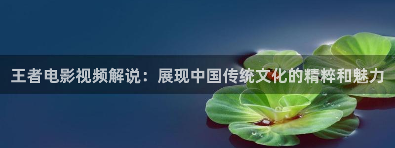 动漫星空影院：王者电影视频解说：展现中国传统文化的精粹和魅力