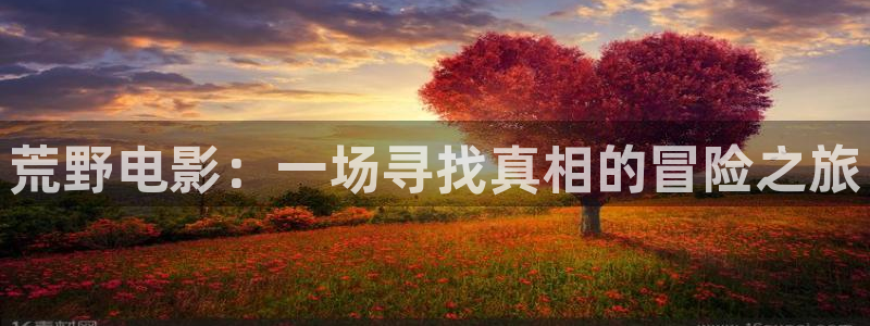 星空影院免费看电视剧柳舟记：荒野电影：一场寻找真相的冒险之旅