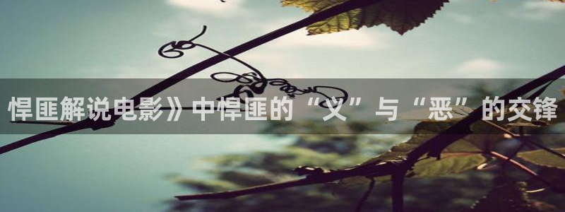 星空视频在线观看完整免费：悍匪解说电影》中悍匪的“义”与“恶”的交锋