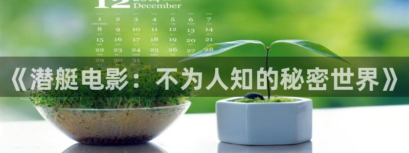 星空电影院下载：《潜艇电影：不为人知的秘密世界》