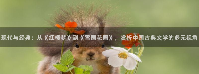 星空影视在线观：现代与经典：从《红楼梦》到《雪国花园》，赏析中国古典文学的多元视角