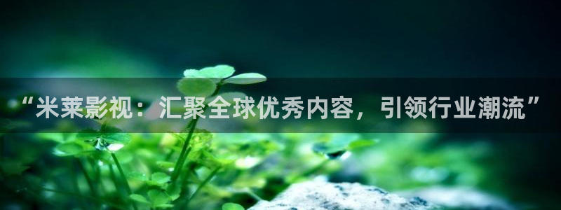 星空影院在线观看电视：“米莱影视：汇聚全球优秀内容，引领行业潮流”
