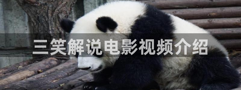 星空影院电视免费播放在线观看：三笑解说电影视频介绍