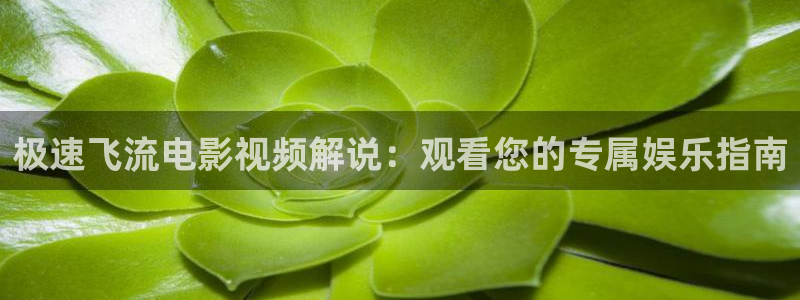 影视厅星空顶图片：极速飞流电影视频解说：观看您的专属娱乐指南