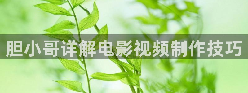 关于星空的歌曲：胆小哥详解电影视频制作技巧
