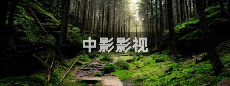 星空影院电视剧免费：中影影视