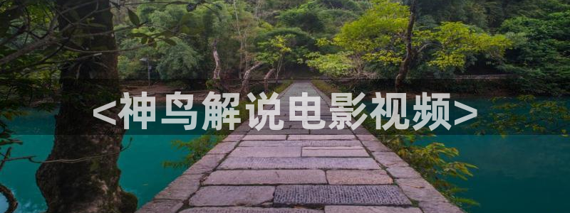 免费观看电视剧星空影视：<神鸟解说电影视频>