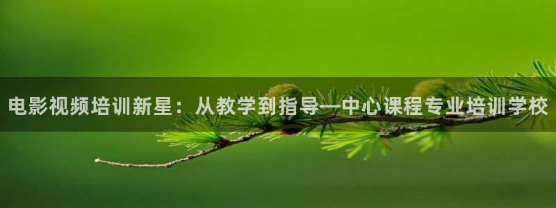星空电影城影讯宿州：电影视频培训新星：从教学到指导—中心课程专业培训学校