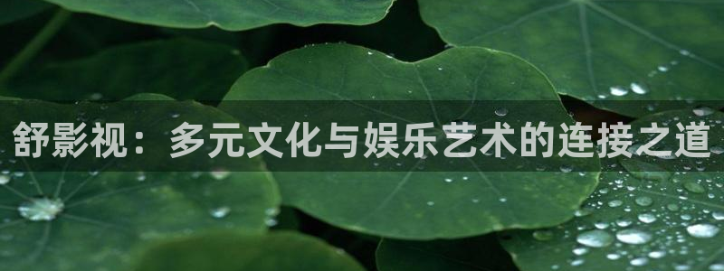 星空影院在线观看免费看电视剧：舒影视：多元文化与娱乐艺术的连接之道