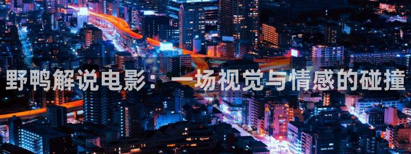 星空影院电视免费下载：野鸭解说电影：一场视觉与情感的碰撞