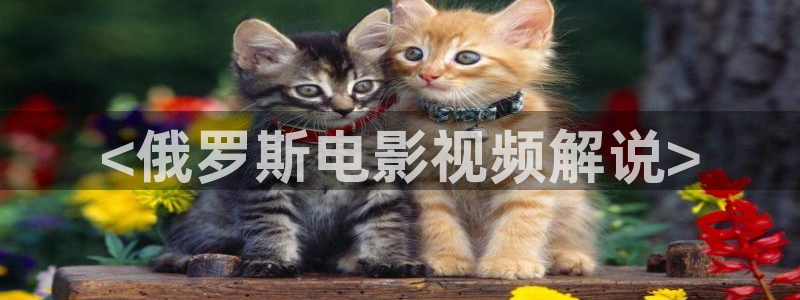 星空影院电影在线观看免费观看：<俄罗斯电影视频解说>