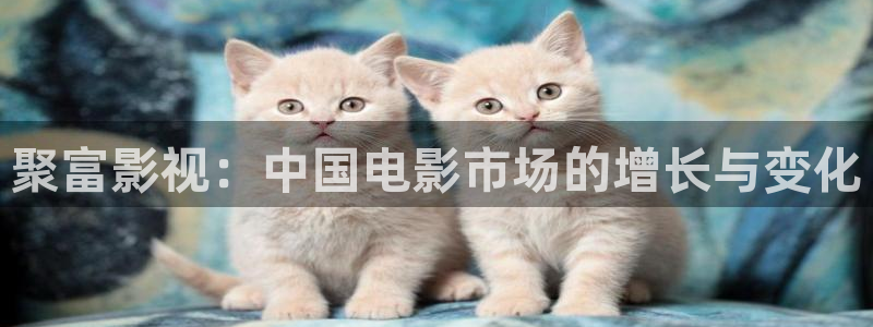 星空影院电视剧大全：聚富影视：中国电影市场的增长与变化